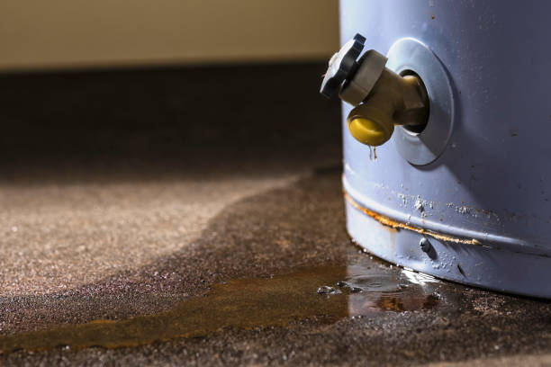 Best Basement water damage restoration  in Tulia, TX