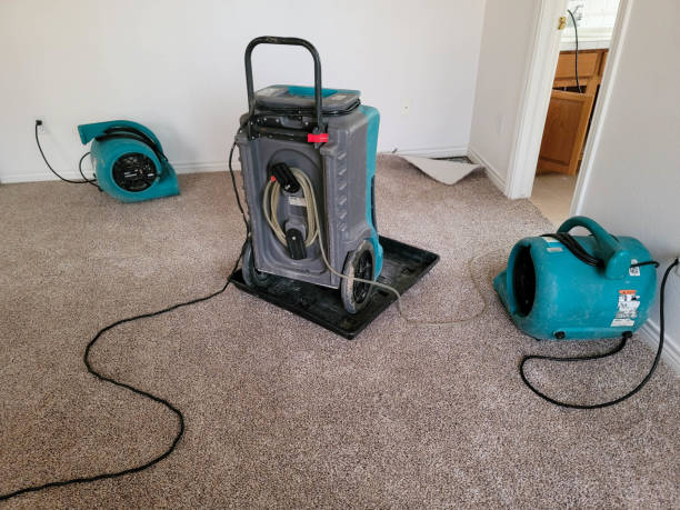 Best Flooded house restoration  in Tulia, TX
