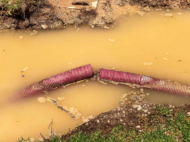 Best Water damage restoration near me  in Tulia, TX